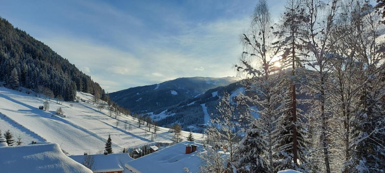 Appartement Finkennest à Bad Kleinkirchheim Extérieur photo