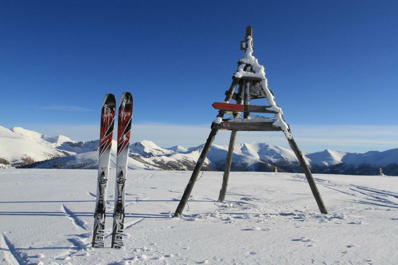 Appartement Finkennest à Bad Kleinkirchheim Extérieur photo